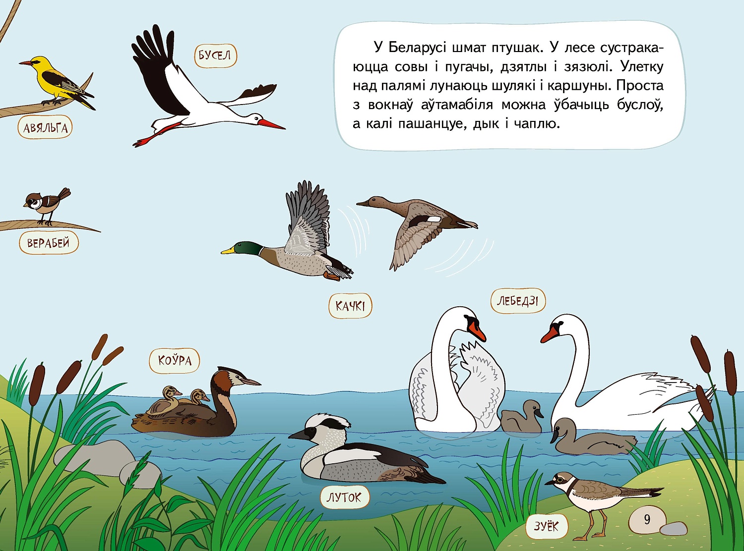 НАВІНКА! Кніга "Наша Беларусь" з маляўнічымі ілюстрацыямі і развіццёвымі заданнямі