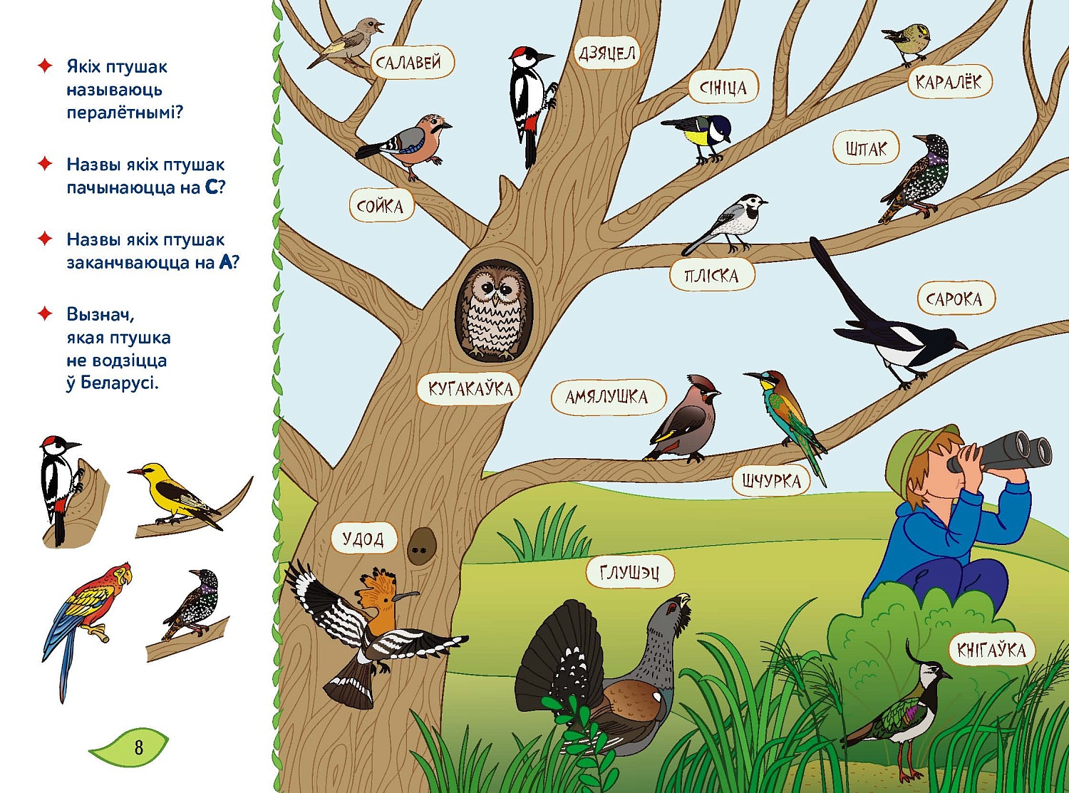 НАВІНКА! Кніга "Наша Беларусь" з маляўнічымі ілюстрацыямі і развіццёвымі заданнямі
